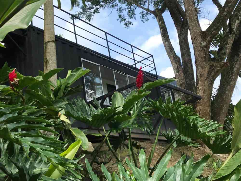 la vega (2)