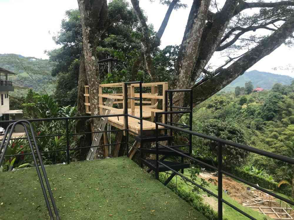 la vega (5)
