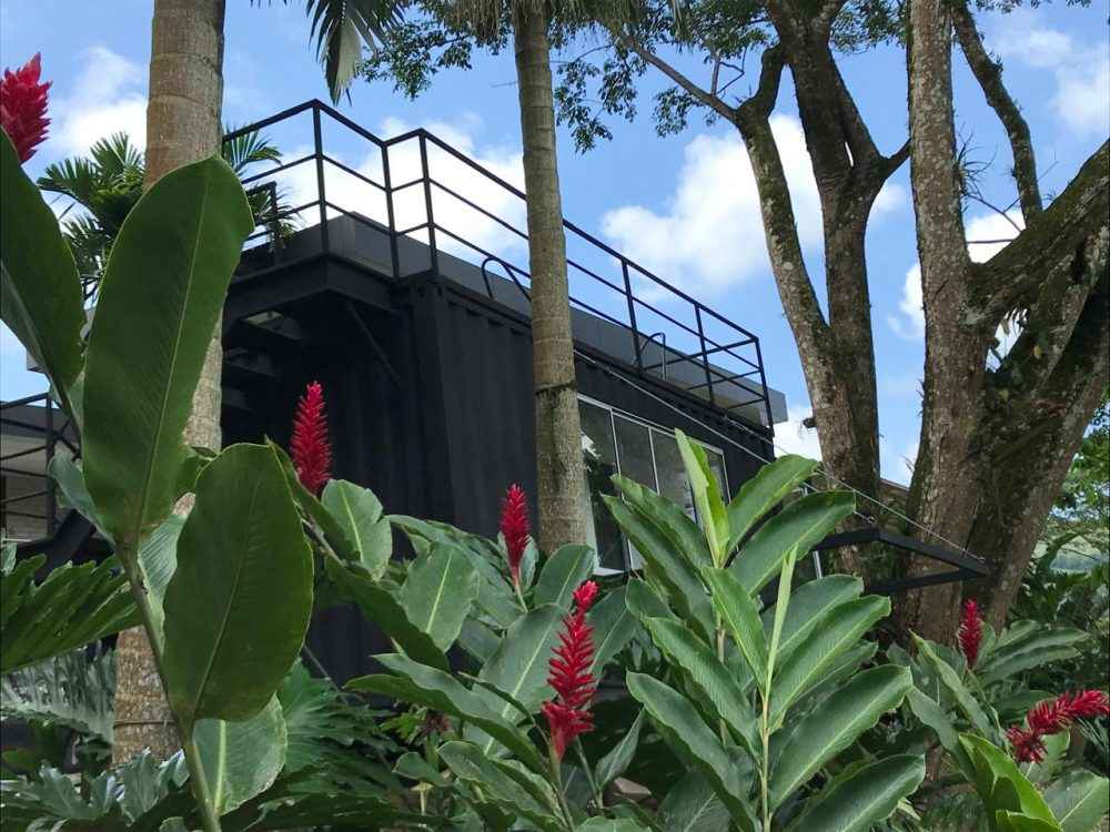 la vega (7)